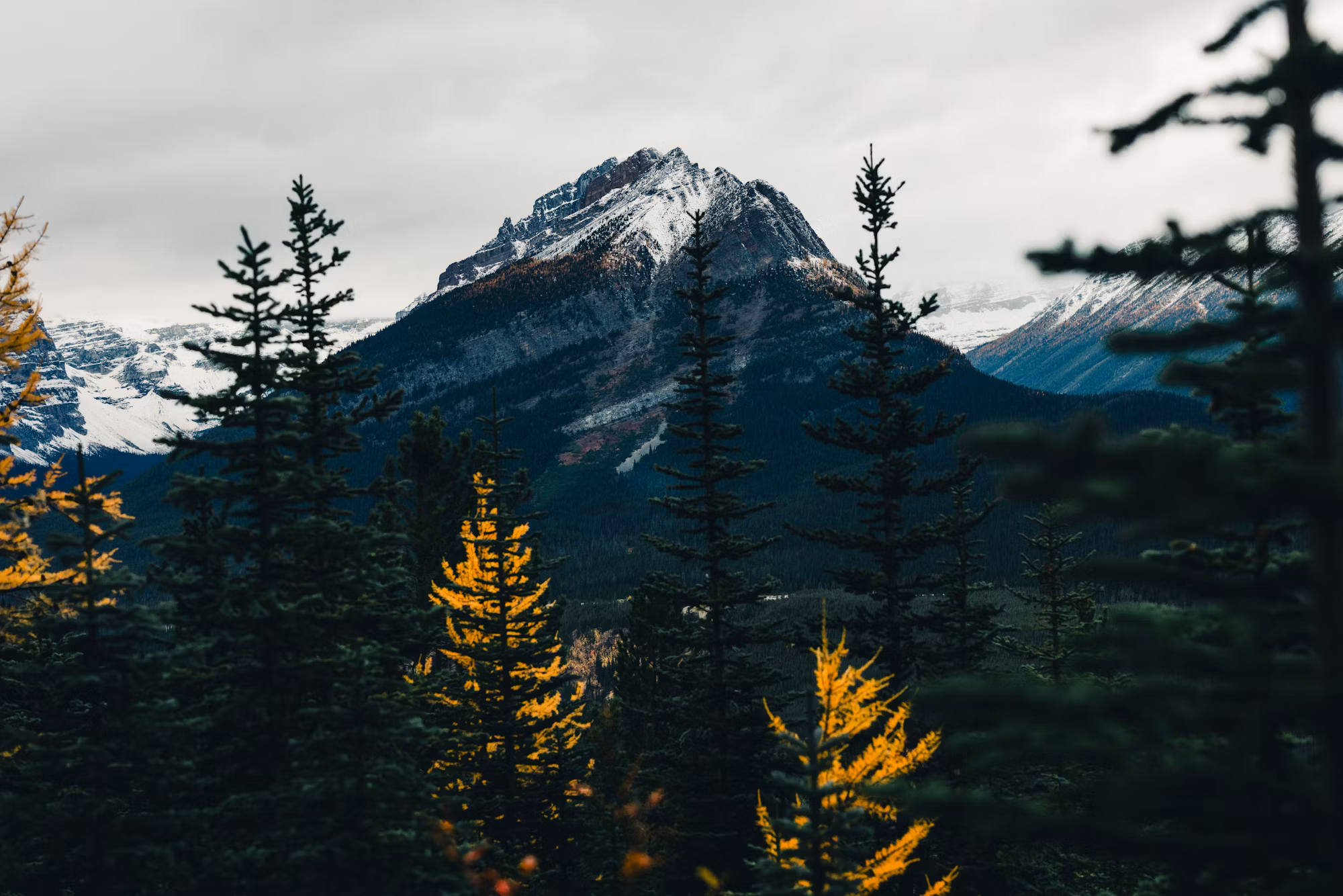 Embracing Adventure: A Family Guide to Outdoor Sports