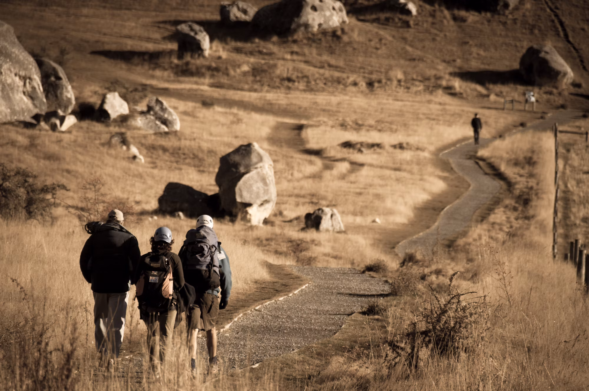 Exploring the Diverse World of Hiking: Types and Tips for Every Adventurer